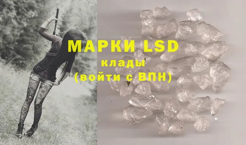 купить наркоту  Белая Холуница  LSD-25 экстази ecstasy 