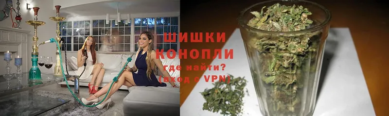 купить  цена  Белая Холуница  даркнет телеграм  Шишки марихуана White Widow 